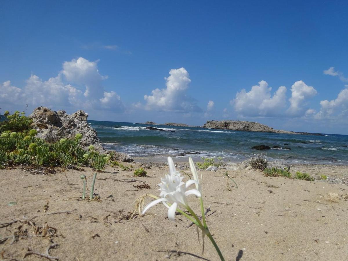 Julies Apartments Kokkini Hani Bagian luar foto